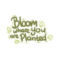 Bloom where you are planted quote text typography design vector illustration