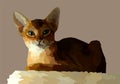 Animal print cat pop art vector style premium vector