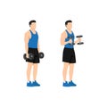 Man doing standing dumbbell bicep hammer curls. Royalty Free Stock Photo