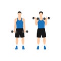 Man doing standing dumbbell bicep curls. Royalty Free Stock Photo