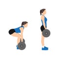 Woman doing Barbell deadlifts exercise. Flat vector