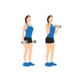 Woman doing dumbbell bicep hammer curls. Flat vector Royalty Free Stock Photo