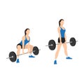 Woman doing Sumo Barbell deadlifts exercise. Royalty Free Stock Photo