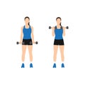 Woman doing dumbbell bicep curls. Flat vector