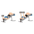 Woman doing Decline bench dumbbell press exercise.