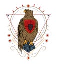 The falcon illustration with Celtic ornament. Eagle artwork for clothing