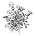 Rose peony flowers Baroque floral Victorian ornament vintage botanical vector engraved spring autumn garden frame border