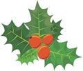 Christmas holly with spiky leaves and red berries