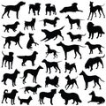Dog collection - vector silhouette Royalty Free Stock Photo