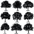 Tree collection - vector silhouette illustration