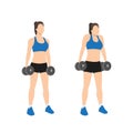 Woman doing Dumbbell shrugs exercise. Flat vector Royalty Free Stock Photo