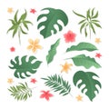 Tropical Leaves and Flowers for mid or end season event Royalty Free Stock Photo