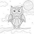 Dissatisfied owl with different patterns on a branch, night sky, moon, stars and clouds. Bird.