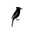 Blue jay bird silhouette vector illustration Royalty Free Stock Photo