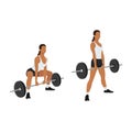 Woman doing Sumo Barbell deadlifts exercise. Royalty Free Stock Photo