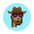 Cowboy wearing fancy glasses NFT pixel art cryptopunks