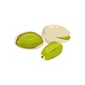 Flat vector of pistachios isolated on white background