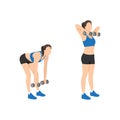 Woman doing deadlift upright row exercise. Flat vector Royalty Free Stock Photo