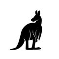 Black kangaroo