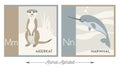 Illustrated alphabet cards with animals for kids. Letter M for meerkat and letter N for narwhal.