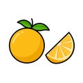 Fresh Orange fruit illustration to keep everyone healthy