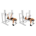 Woman doing Smith machine barbell bench press flat vector