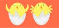 Vector of newly hatched twin chicks from eggs