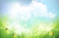 Beautiful nature background with white clouds blue sky adorning, dancing weeds in the wind, and ladybugs. Basic RGB