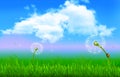 Beautiful nature background with white clouds blue sky adorning, dancing weeds in the wind, and ladybugs. Basic RGB