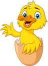 Cute baby duck cartoon coming out of an egg Royalty Free Stock Photo