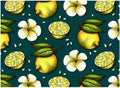 Sketch hand drawn pattern of yellow lemon with green leaves and white plumeria flower isolated on blue background. Royalty Free Stock Photo