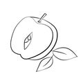 Apple fruits half with leave abstract vector line art out line illustrations