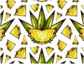 Sketch hand drawn tropical pattern with sliced yellow pineapple and green leaves isolated on transparent background. Royalty Free Stock Photo