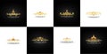 Luxurious Geometric crown logo bundle