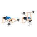 Man doing Barbell pullover exercise. Flat vector Royalty Free Stock Photo