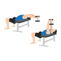 Man doing dumbbell pullover exercise. Flat vector Royalty Free Stock Photo