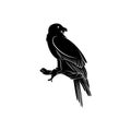 Bearded vulture bird silhouette vector illustration abstract Royalty Free Stock Photo