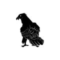 Bearded vulture bird silhouette vector illustration abstract Royalty Free Stock Photo