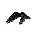 Bearded vulture bird silhouette vector illustration abstract Royalty Free Stock Photo