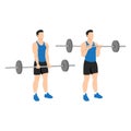 Man doing Reverse barbell curl. Flat vector Royalty Free Stock Photo