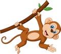 Cute little monkey cartoon on tree branch Royalty Free Stock Photo