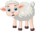 Cute baby sheep cartoon on white background Royalty Free Stock Photo