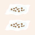 Coriander seed soak in water on Tissue cotton Flat Vector Royalty Free Stock Photo