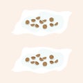 Coriander seed soak in water on Tissue cotton Flat Vector