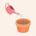 Watering coriander Seeds in a pot are Growing up is a soft shoot Flat Vector