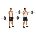 Man doing Barbell curl. Flat vector illustration Royalty Free Stock Photo