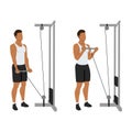 Man doing Straight bar low pulley cable curl. Flat vector illustration Royalty Free Stock Photo