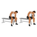 Man doing Dumbbell concentration curl. Flat vector Royalty Free Stock Photo