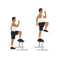 Man doing Step up with knee raises exercise. Flat vector Royalty Free Stock Photo