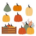 Set of isolated pumpkins and autumn plants